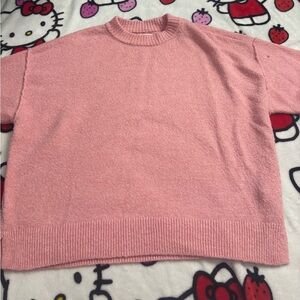 American Eagle Outfitters Soft Pink Crewneck Sweater